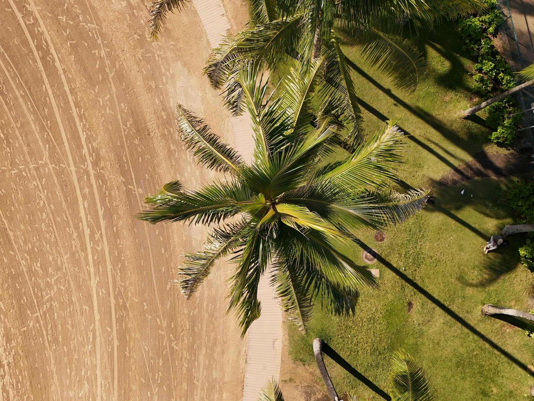 Tropical Paradise Vacation