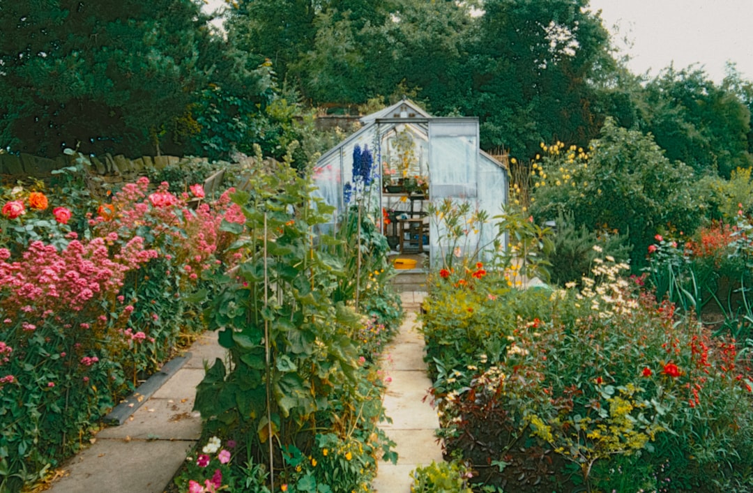 Comparison chart showing enhanced vs standard annuity payouts