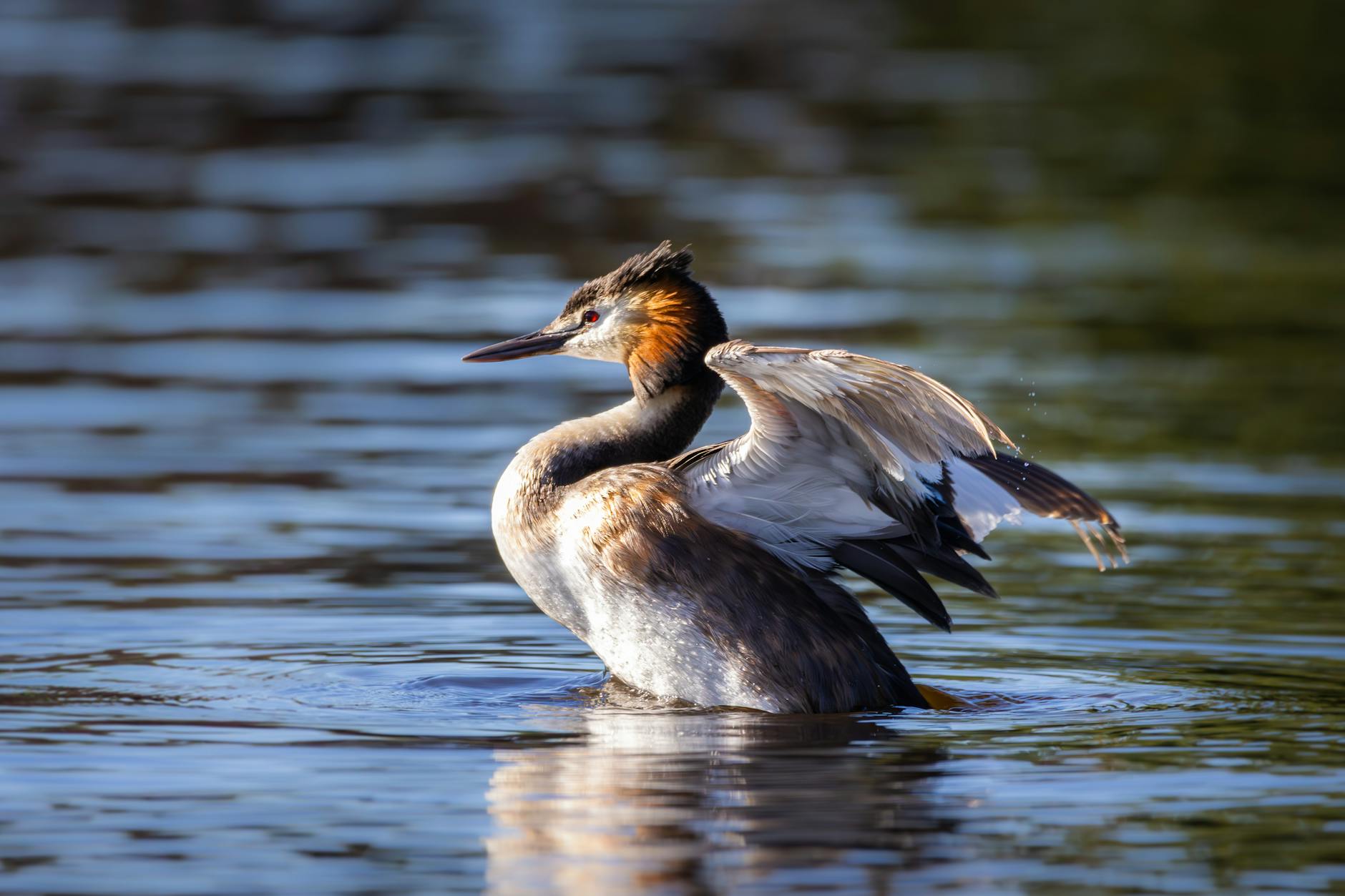 Seniors Bird Watching