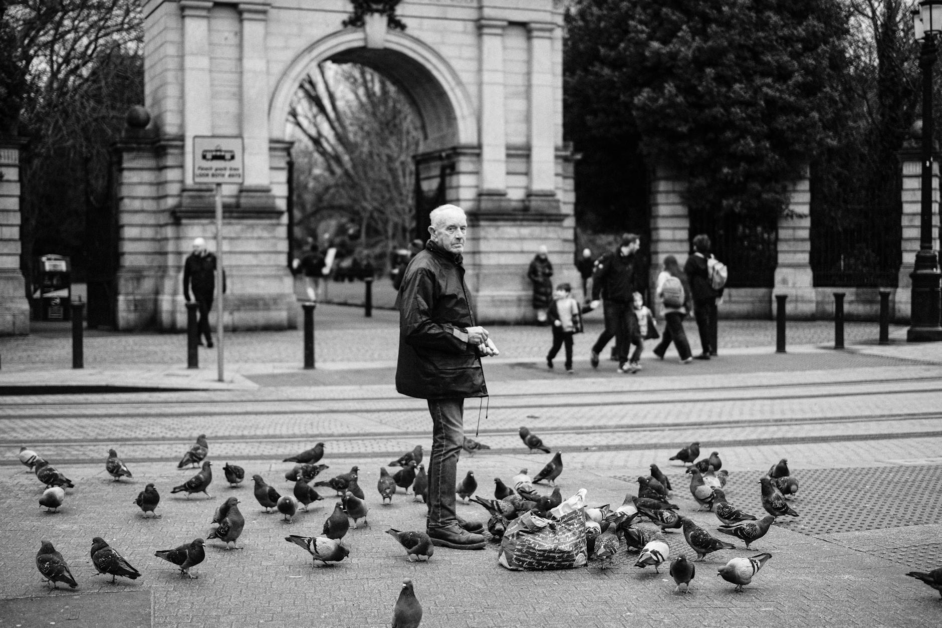 Seniors Bird Watching