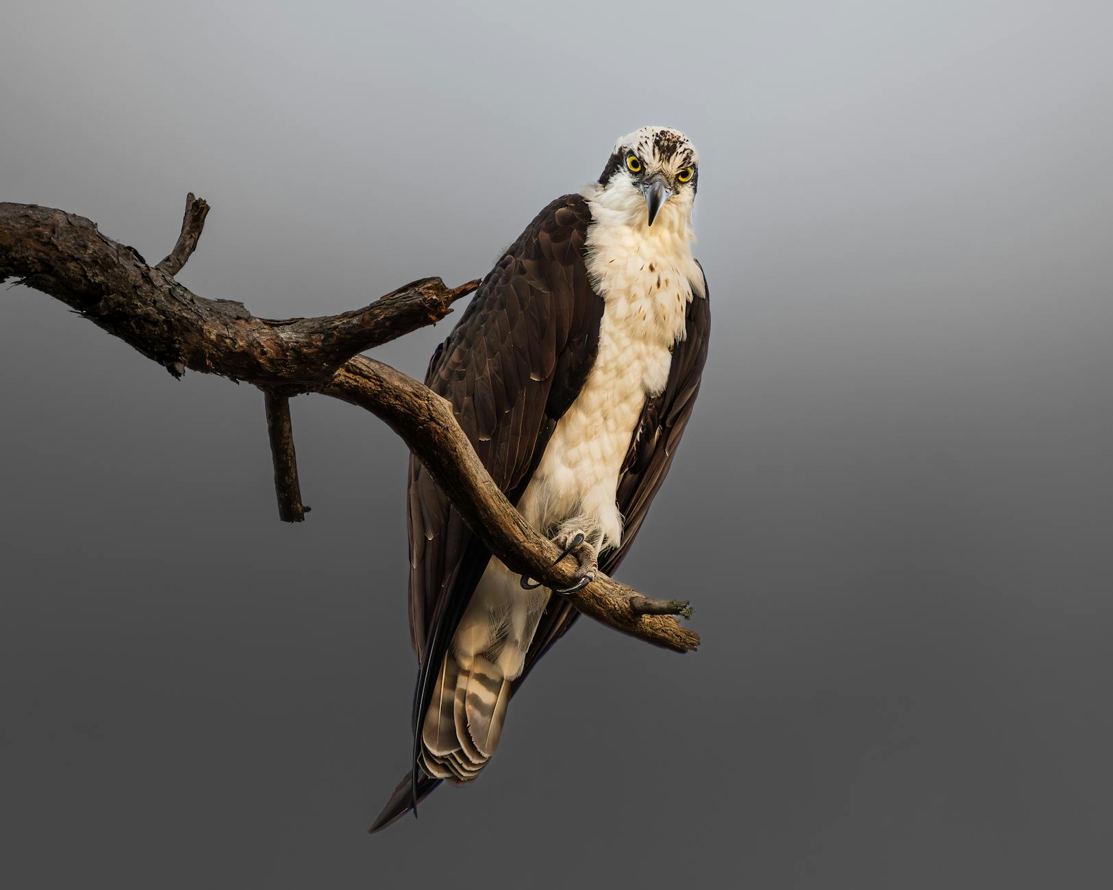 Couple meeting with financial advisor reviewing state tax implications and retirement planning documents