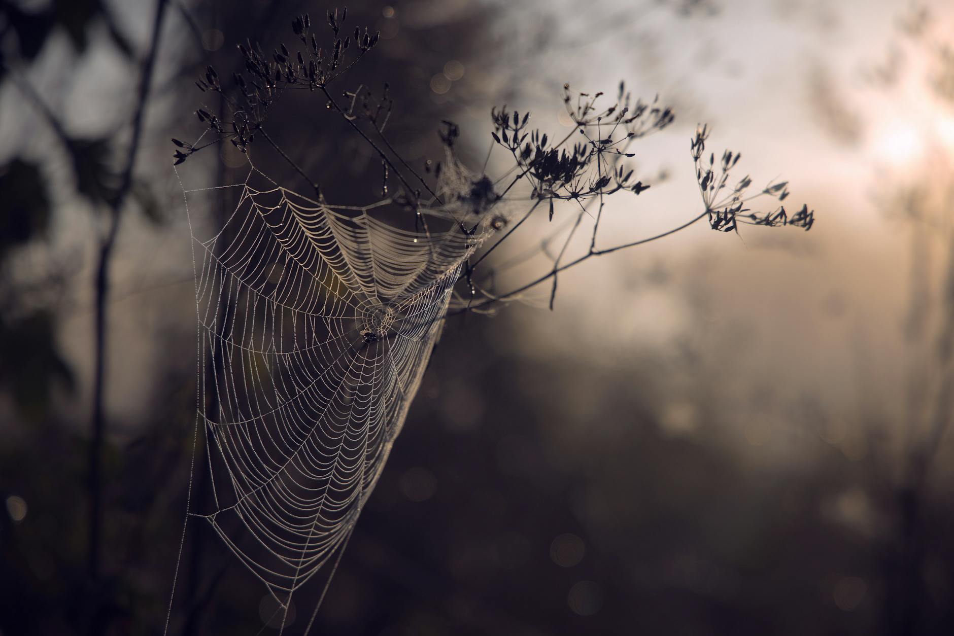 Grandparents Birthday Cake