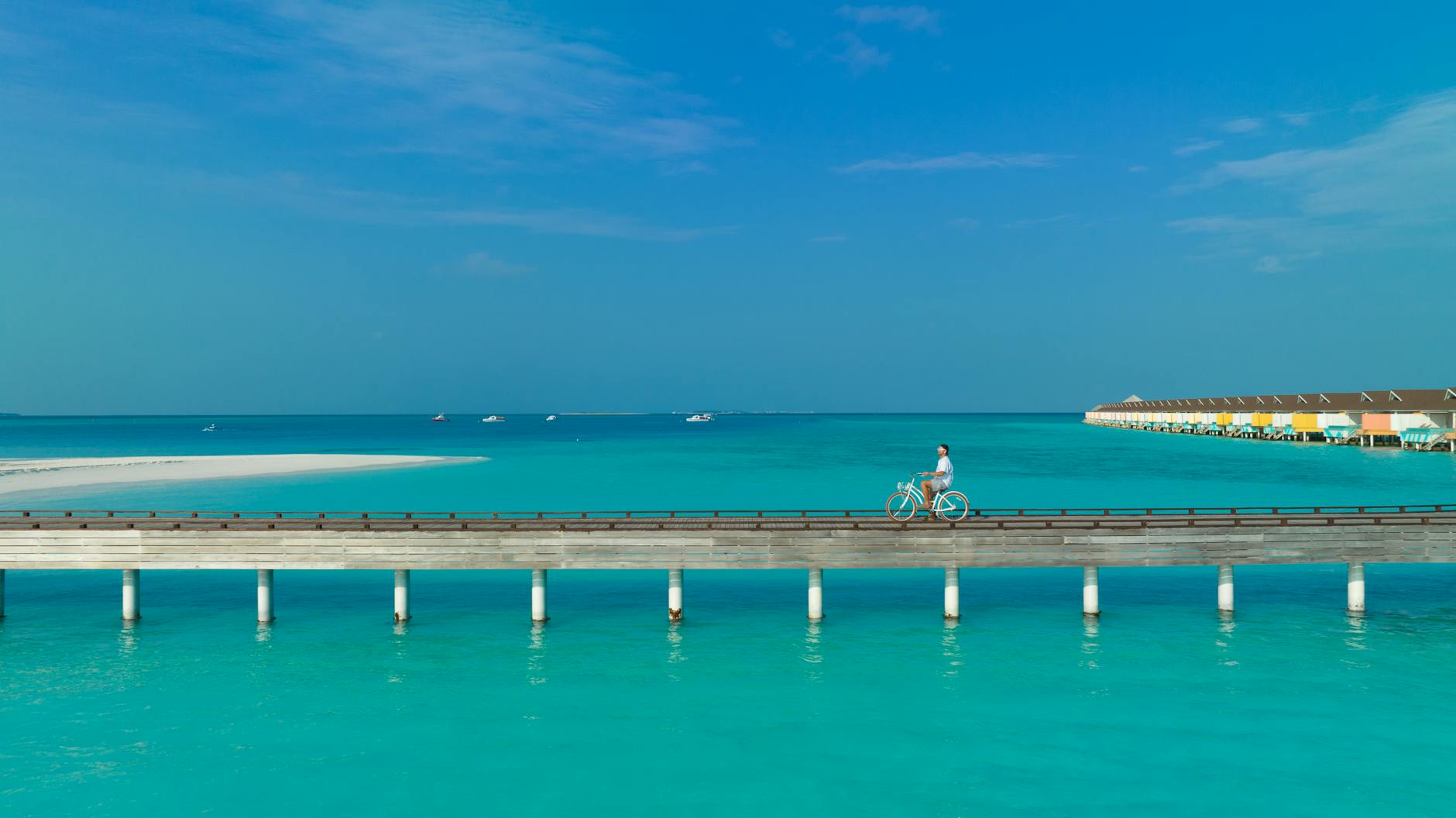 Tropical Paradise Vacation