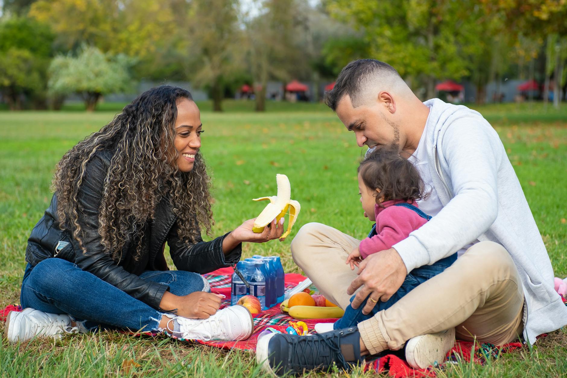 Family Picnic