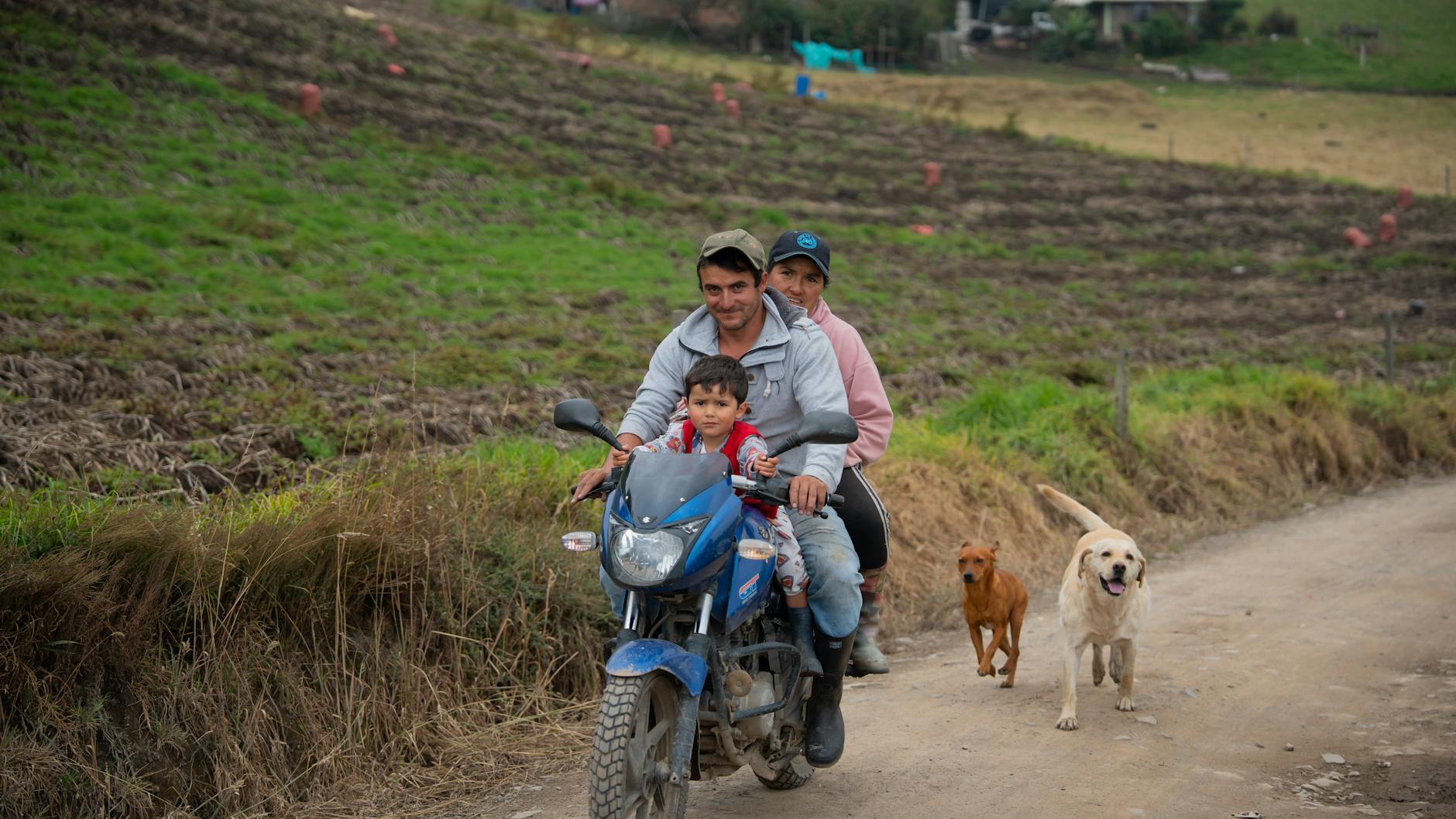 Family Road Trip 31087685